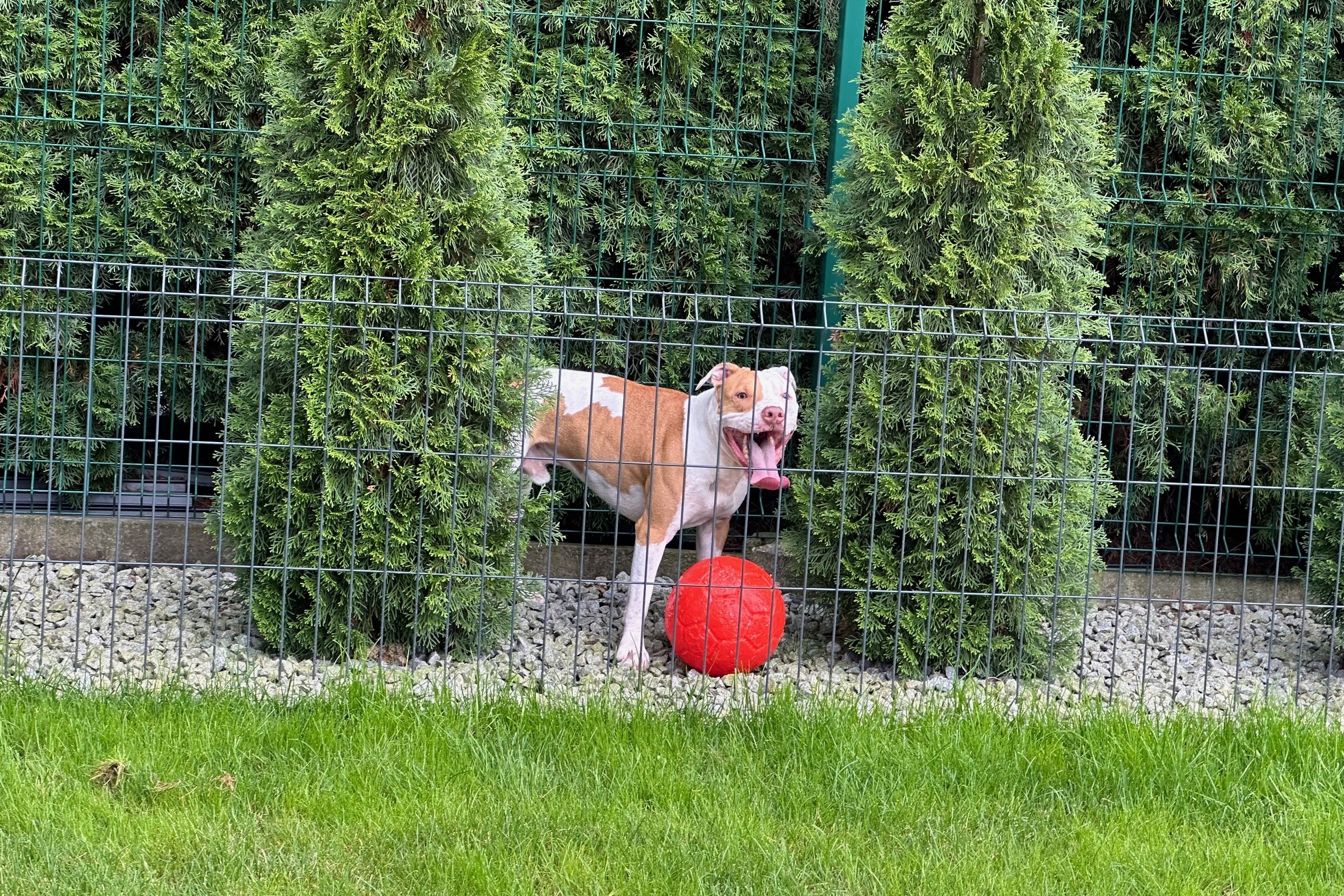 IMG_7943